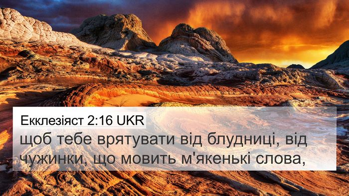 Екклезіяст 2:16 UKR Bible Verse Image