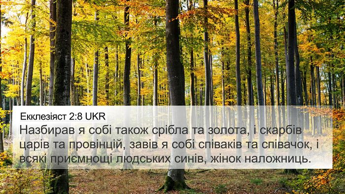 Екклезіяст 2:8 UKR Bible Verse Image