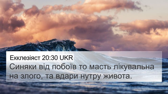 Екклезіяст 20:30 UKR Bible Verse Image