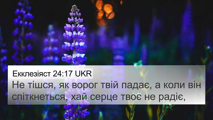 Екклезіяст 24:17 UKR Bible Verse Image