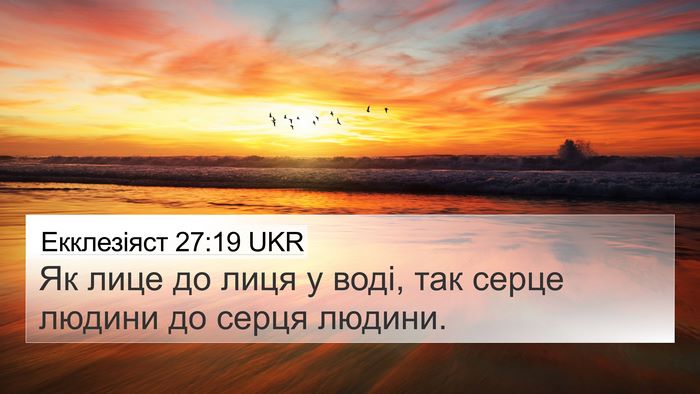 Екклезіяст 27:19 UKR 4K Wallpaper - Як лице до лиця у воді, так - 4K Wallpaper Bible Verse
