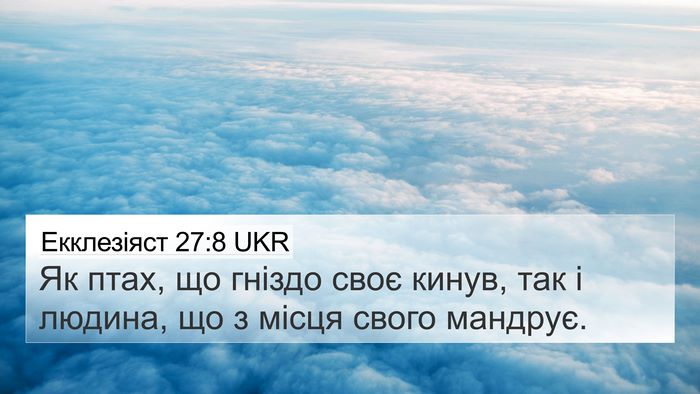 Екклезіяст 27:8 UKR Bible Verse Image