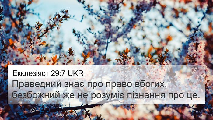 Екклезіяст 29:7 UKR Bible Verse Image