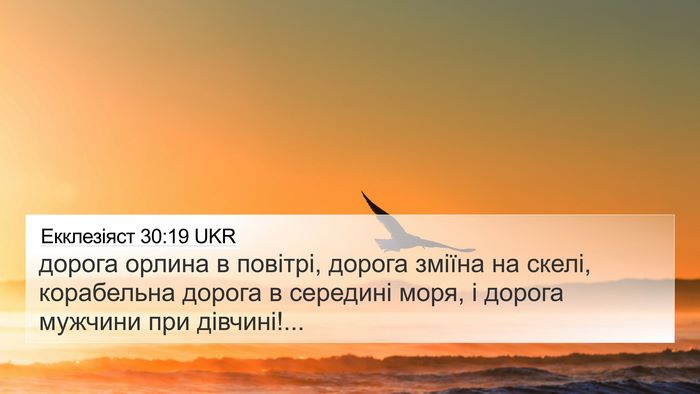 Екклезіяст 30:19 UKR 4K Wallpaper - дорога орлина в повітрі, - 4K Wallpaper Bible Verse