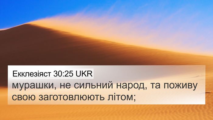 Екклезіяст 30:25 UKR Bible Verse Image