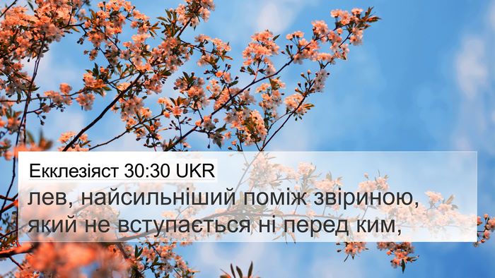 Екклезіяст 30:30 UKR Bible Verse Image