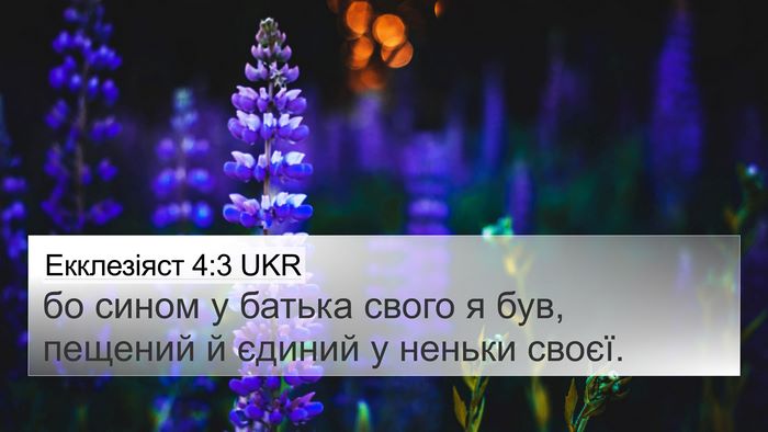 Екклезіяст 4:3 UKR 4K Wallpaper - бо сином у батька свого я - 4K Wallpaper Bible Verse