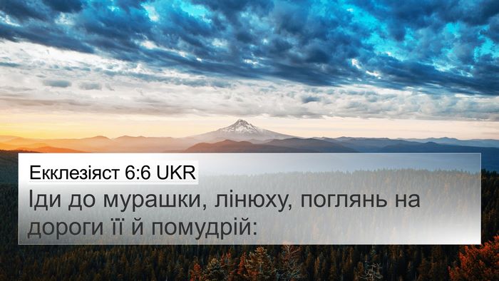 Екклезіяст 6:6 UKR Bible Verse Image
