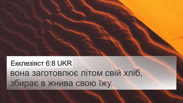 Екклезіяст 6:8 UKR 4K Wallpaper - вона заготовлює літом свій - 4K Wallpaper Bible Verse