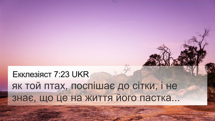 Екклезіяст 7:23 UKR Bible Verse Image