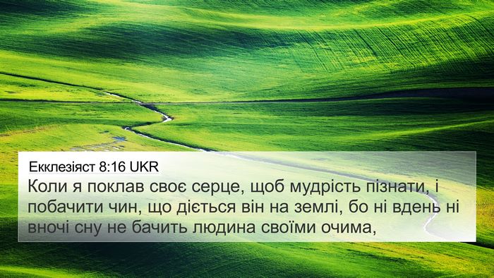 Екклезіяст 8:16 UKR Bible Verse Image