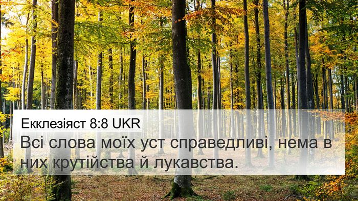 Екклезіяст 8:8 UKR 4K Wallpaper - Всі слова моїх уст - 4K Wallpaper Bible Verse