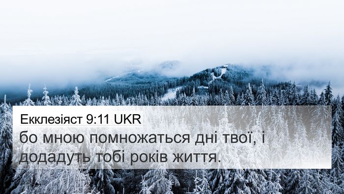 Екклезіяст 9:11 UKR Bible Verse Image