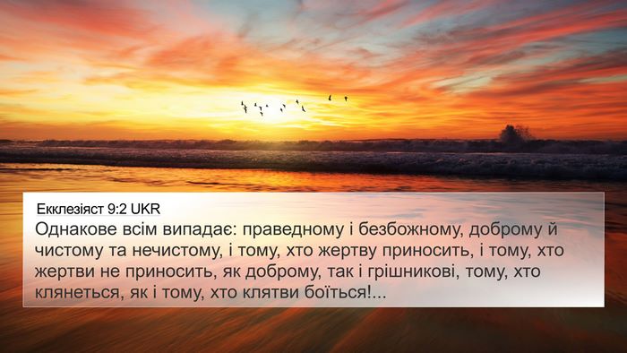 Екклезіяст 9:2 UKR Bible Verse Image