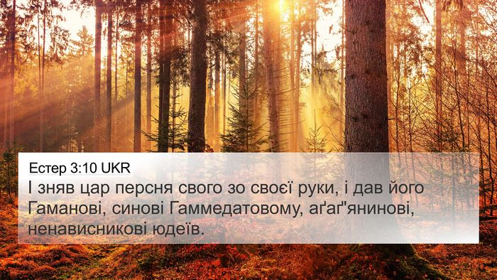 Естер 3:10 UKR Bible Verse Image