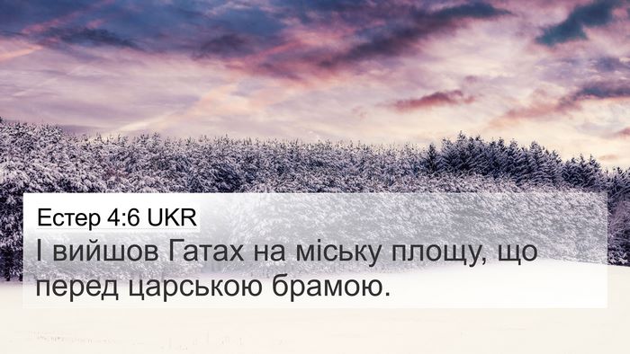 Естер 4:6 UKR 4K Wallpaper - І вийшов Гатах на міську - 4K Wallpaper Bible Verse