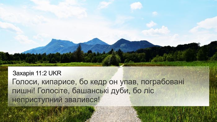 Захарія 11:2 UKR Bible Verse Image