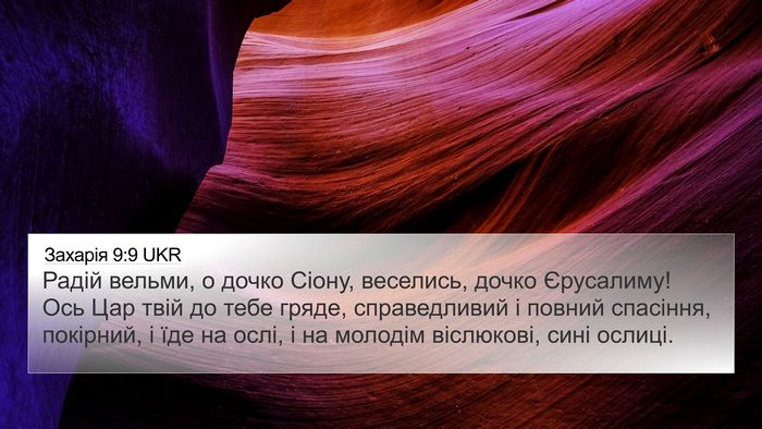 Захарія 9:9 UKR Bible Verse Image