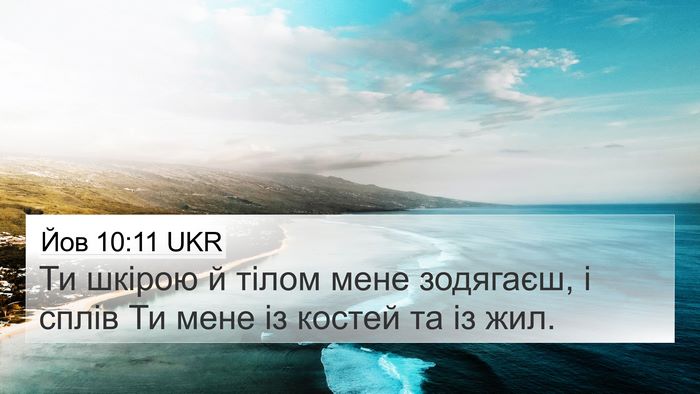 Йов 10:11 UKR 4K Wallpaper - Ти шкірою й тілом мене - 4K Wallpaper Bible Verse