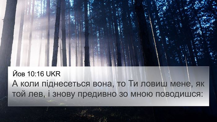 Йов 10:16 UKR Bible Verse Image