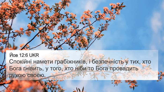 Йов 12:6 UKR Bible Verse Image