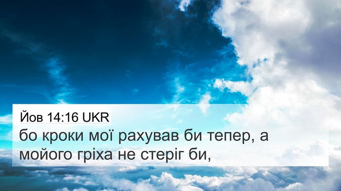 Йов 14:16 UKR Bible Verse Image