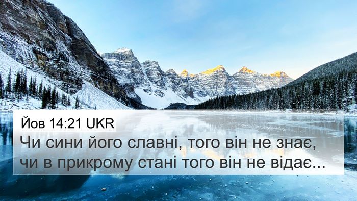 Йов 14:21 UKR 4K Wallpaper - Чи сини його славні, того - 4K Wallpaper Bible Verse