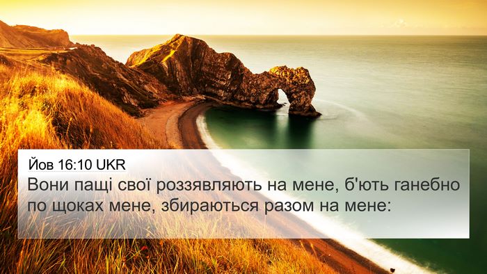 Йов 16:10 UKR Bible Verse Image