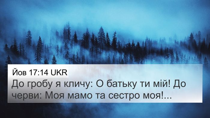 Йов 17:14 UKR Bible Verse Image