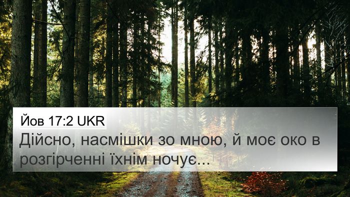 Йов 17:2 UKR Bible Verse Image