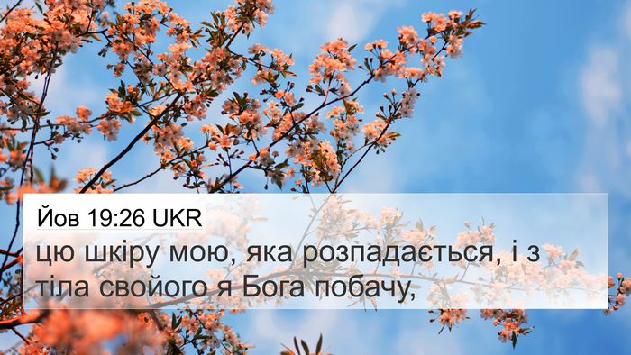 Йов 19:26 UKR Bible Verse Image