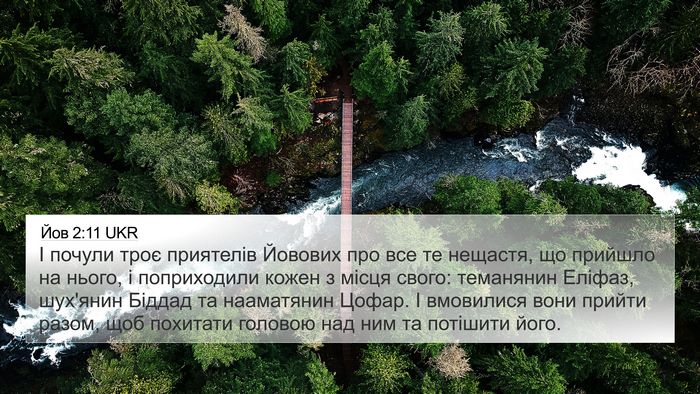 Йов 2:11 UKR Bible Verse Image