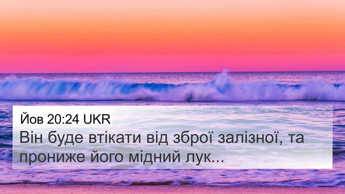 Йов 20:24 UKR Bible Verse Image