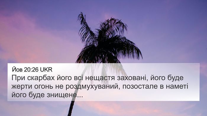 Йов 20:26 UKR Bible Verse Image