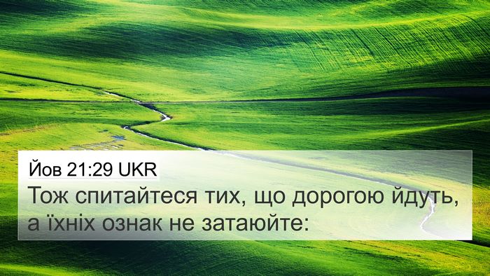 Йов 21:29 UKR Bible Verse Image