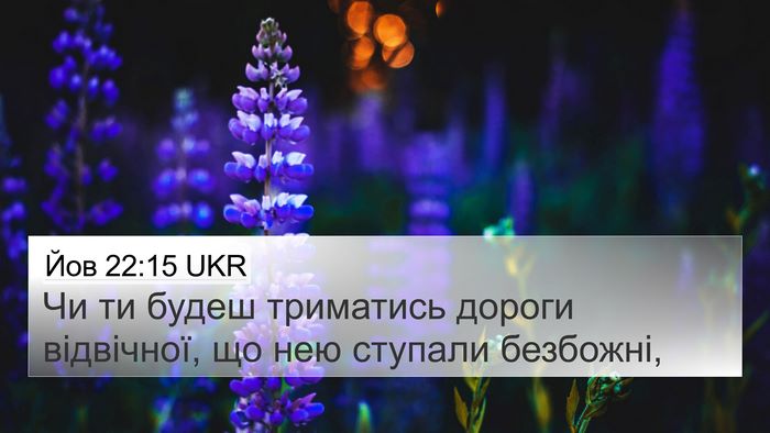 Йов 22:15 UKR Bible Verse Image