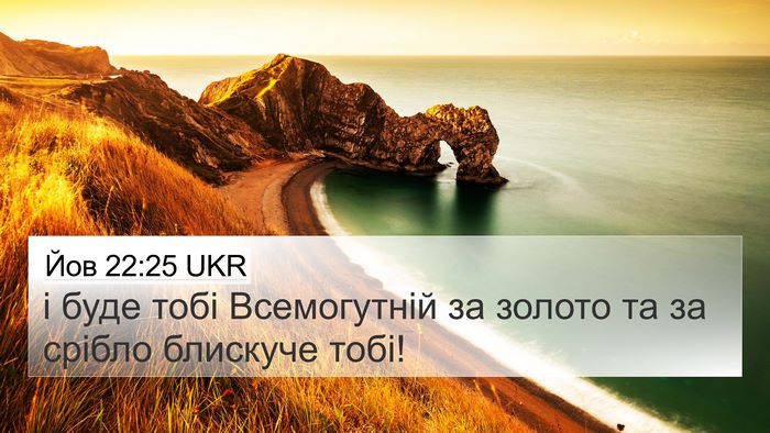 Йов 22:25 UKR Bible Verse Image