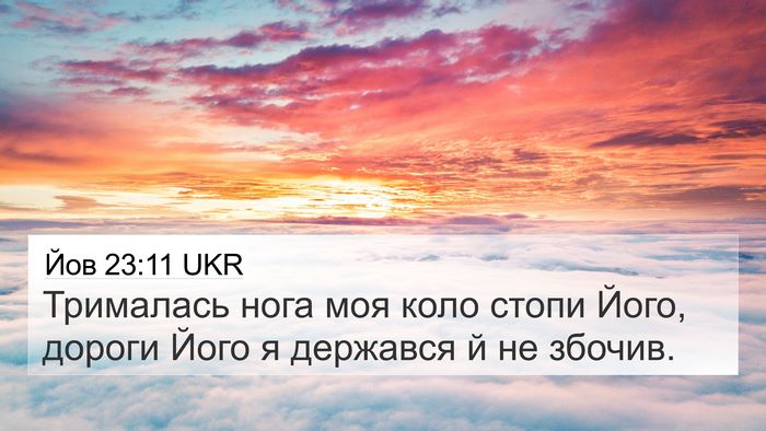Йов 23:11 UKR Bible Verse Image