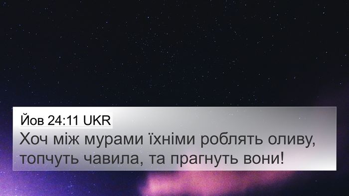 Йов 24:11 UKR 4K Wallpaper - Хоч між мурами їхніми - 4K Wallpaper Bible Verse