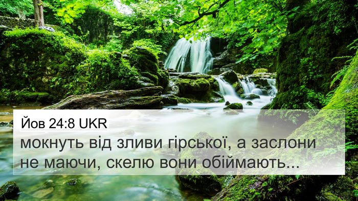 Йов 24:8 UKR 4K Wallpaper - мокнуть від зливи - 4K Wallpaper Bible Verse