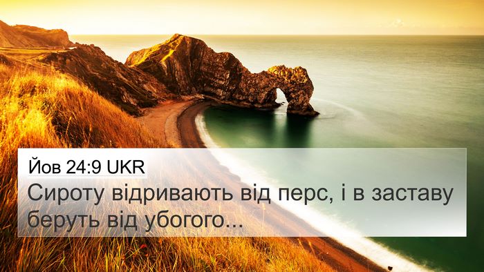 Йов 24:9 UKR Bible Verse Image