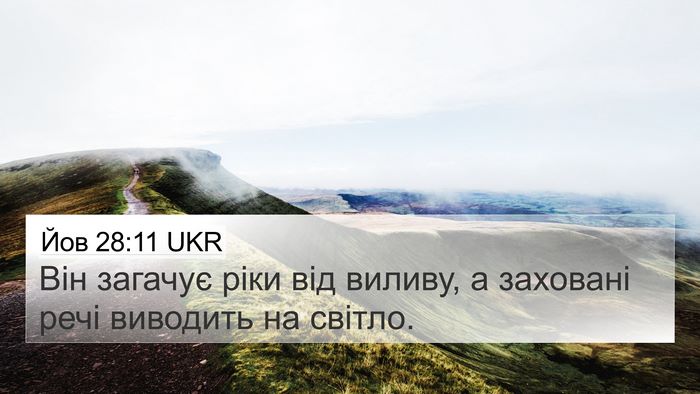 Йов 28:11 UKR Bible Verse Image