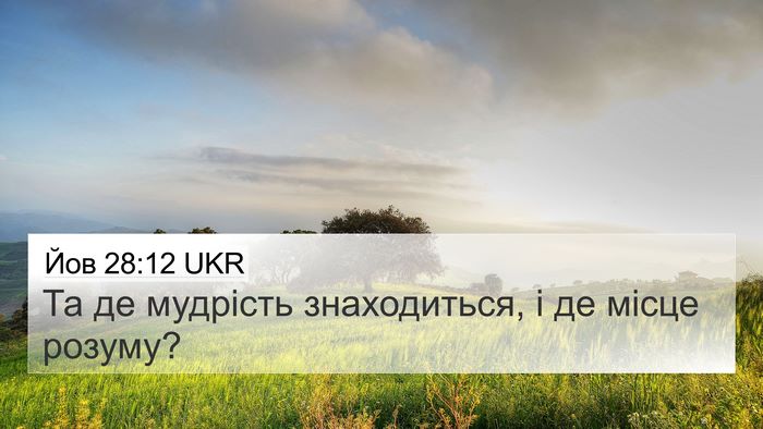 Йов 28:12 UKR Bible Verse Image