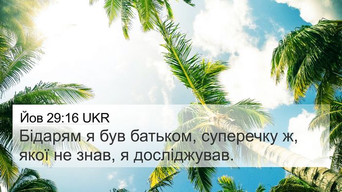 Йов 29:16 UKR Bible Verse Image