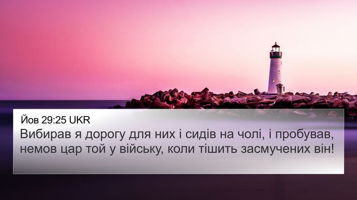 Йов 29:25 UKR Bible Verse Image