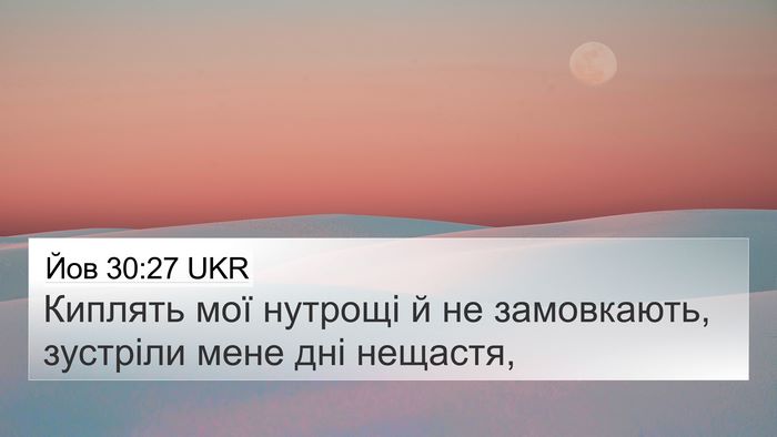 Йов 30:27 UKR Bible Verse Image