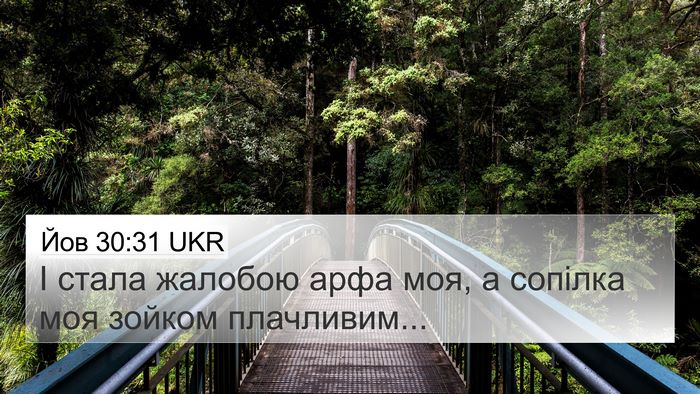 Йов 30:31 UKR 4K Wallpaper - І стала жалобою арфа моя, а - 4K Wallpaper Bible Verse