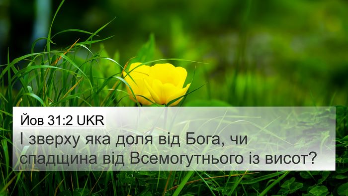 Йов 31:2 UKR Bible Verse Image