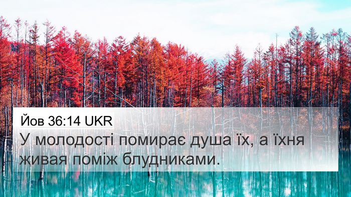 Йов 36:14 UKR Bible Verse Image