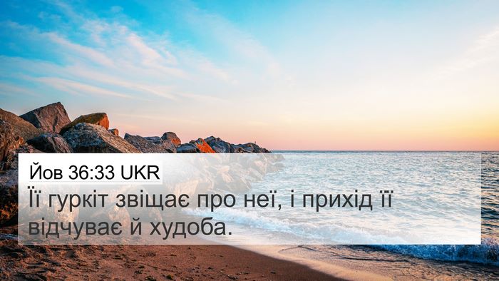 Йов 36:33 UKR Bible Verse Image